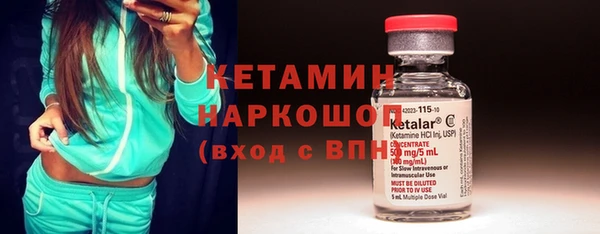 шишки Абаза