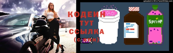 шишки Абаза