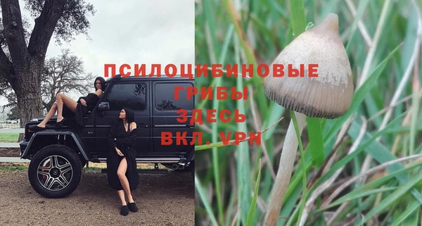 ешки Саяногорск