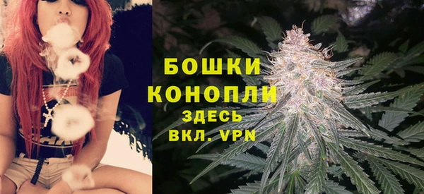 шишки Абаза