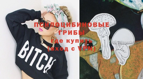 шишки Абдулино