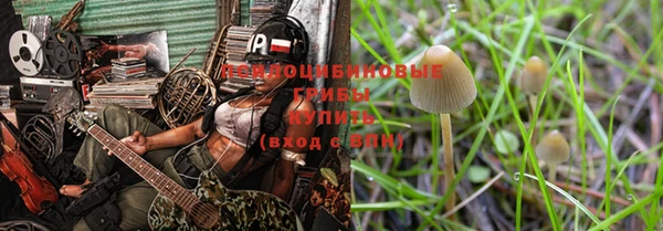 шишки Абдулино