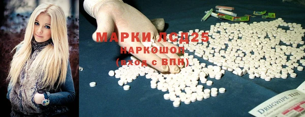 шишки Абаза