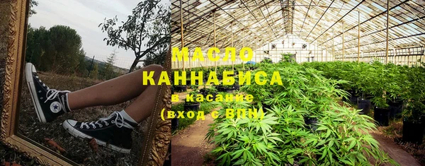 шишки Абаза