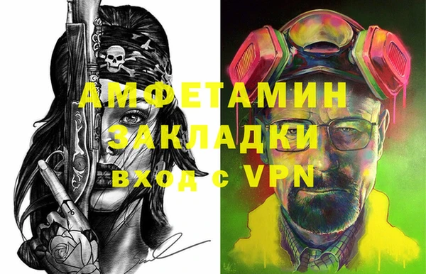 шишки Абаза