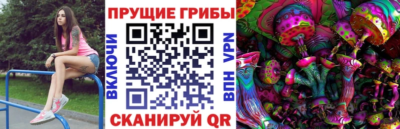 купить наркотики сайты  Карасук  Псилоцибиновые грибы Psilocybine cubensis 