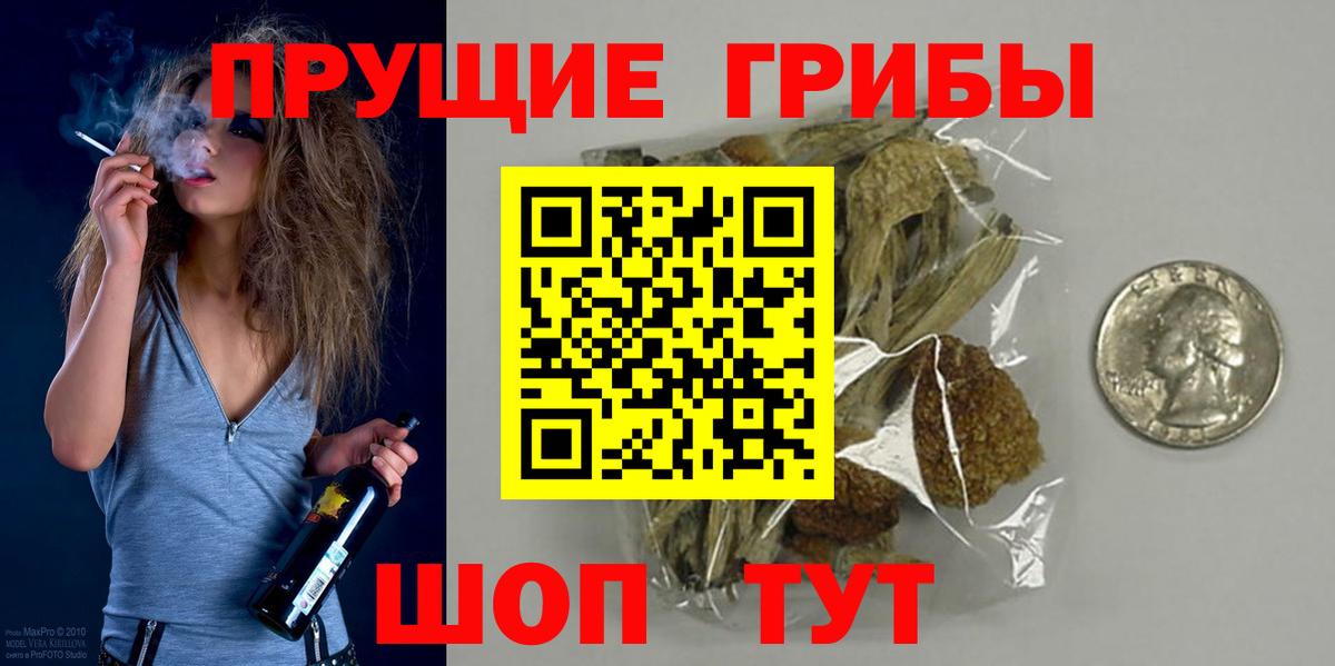 Карасук  Галлюциногенные грибы Psilocybine cubensis  Галлюциногенные грибы ЛСД  Вход с VPN 