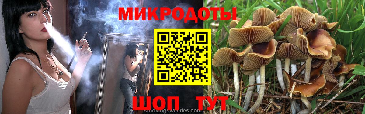 купить наркотики цена  Карасук  Галлюциногенные грибы Cubensis 