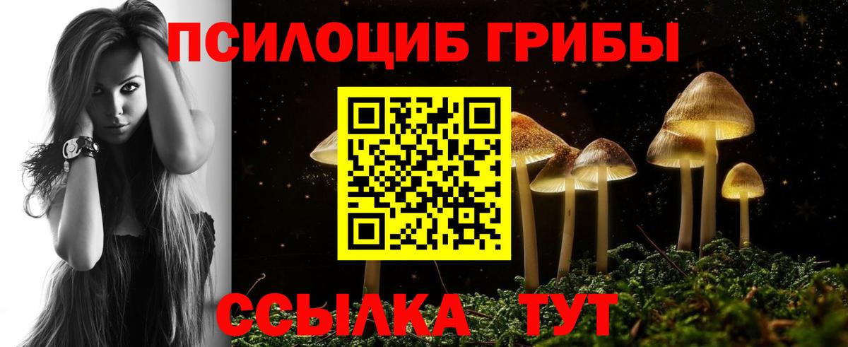 Галлюциногенные грибы прущие грибы Карасук